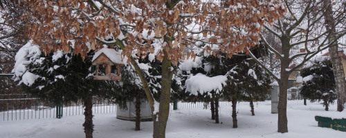 Jedynkowa lekcja troski o przyrodę